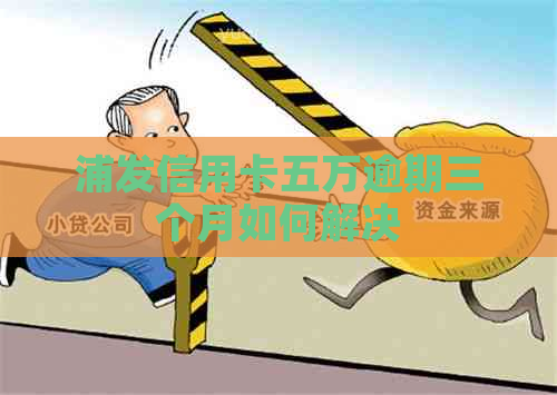 浦发信用卡五万逾期三个月如何解决