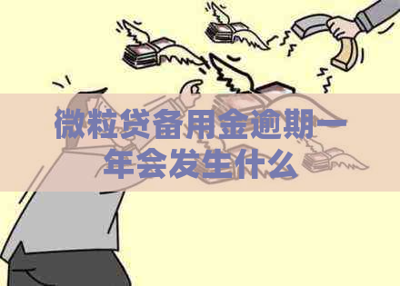 微粒贷备用金逾期一年会发生什么
