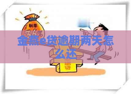 金燕e贷逾期两天怎么还