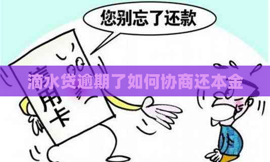 滴水贷逾期了如何协商还本金