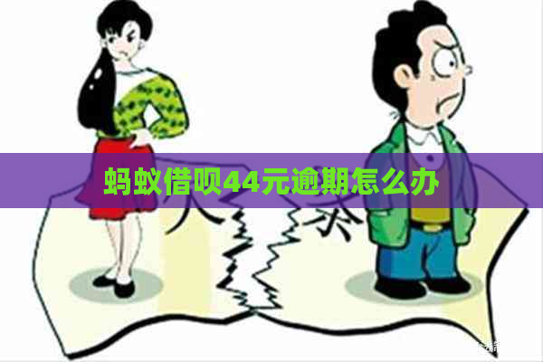 蚂蚁网贷44元逾期怎么办