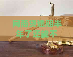 网贷逾期半年了还能不能还款