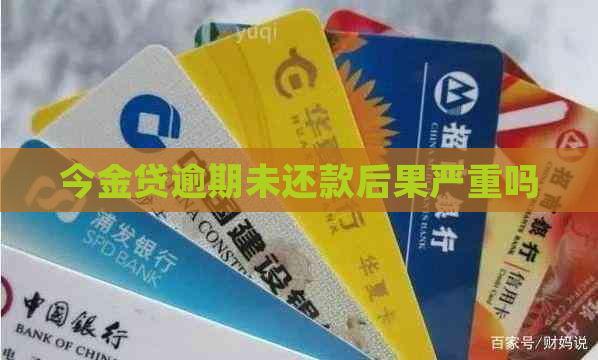 今金贷逾期未还款后果严重吗