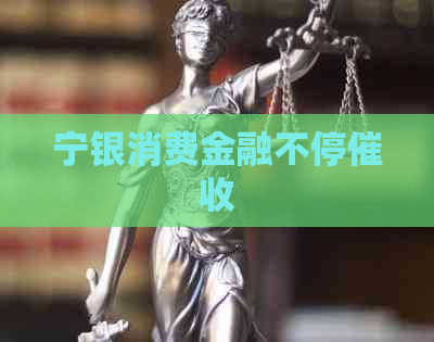 宁银消费金融不停
