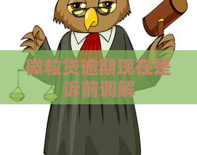 微粒贷逾期现在是诉前调解