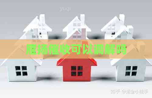 雁扬可以调解吗