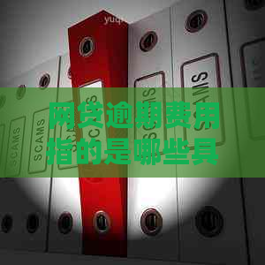 网贷逾期费用指的是哪些具体内容