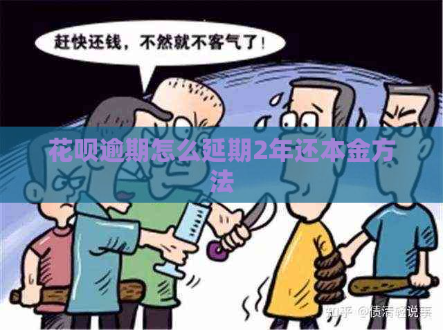 信用卡逾期怎么延期2年还本金方法