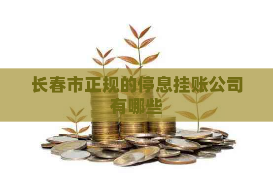 长春市正规的停息挂账公司有哪些