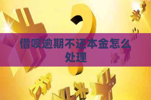 网贷逾期不还本金怎么处理