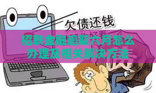 招联金融逾期六月怎么办理及相关解决方法