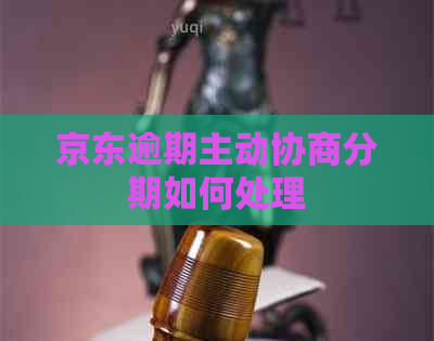 京东逾期主动协商分期如何处理