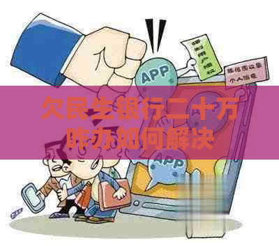 欠民生银行二十万咋办如何解决