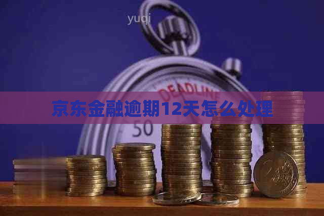 京东金融逾期12天怎么处理