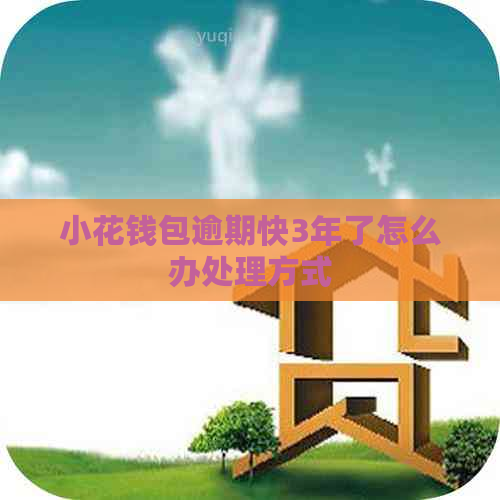 小花钱包逾期快3年了怎么办处理方式