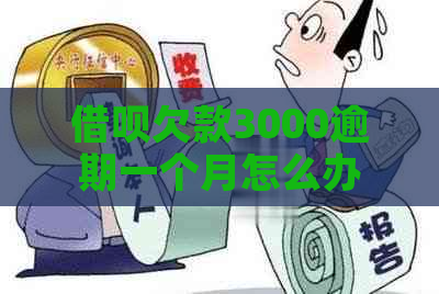 网贷欠款3000逾期一个月怎么办