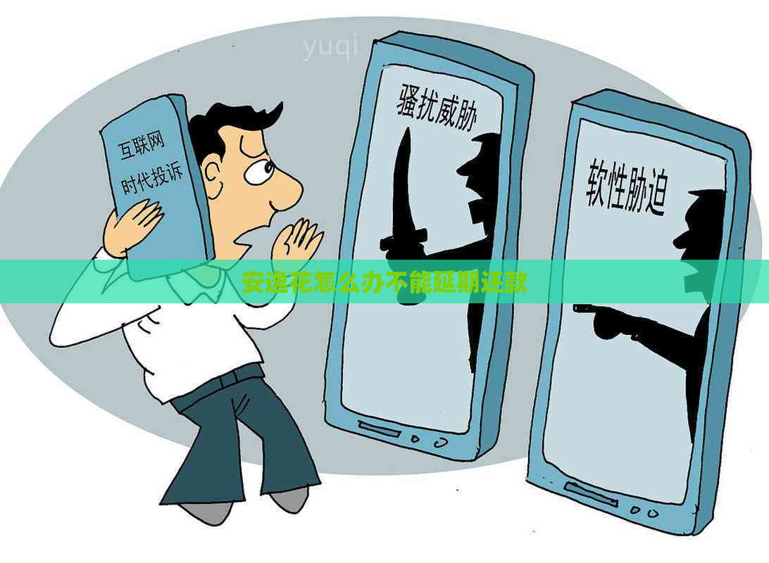 安逸花怎么办不能延期还款