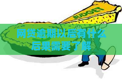 网贷逾期以后有什么后果需要了解