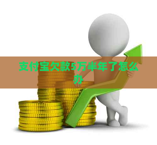 支付宝欠款5万半年了怎么办