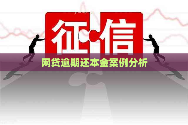 网贷逾期还本金案例分析