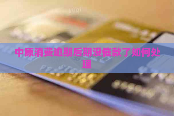 中原消费逾期后期没催款了如何处理