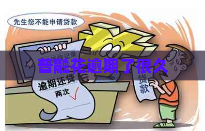 普融花逾期了很久