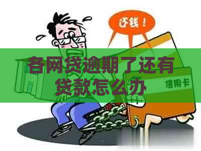 各网贷逾期了还有贷款怎么办