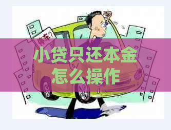小贷只还本金怎么操作