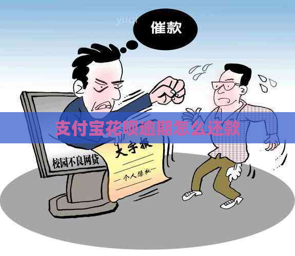 支付宝信用卡逾期怎么还款