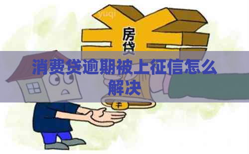 消费贷逾期被上怎么解决