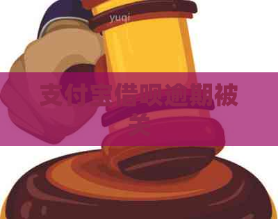 支付宝网贷逾期被关