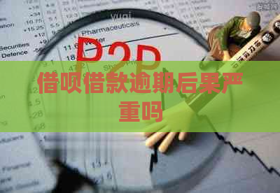 网贷借款逾期后果严重吗