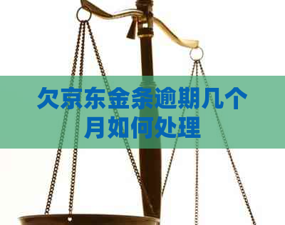 欠京东金条逾期几个月如何处理