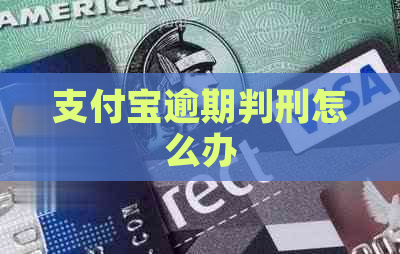 支付宝逾期判刑怎么办