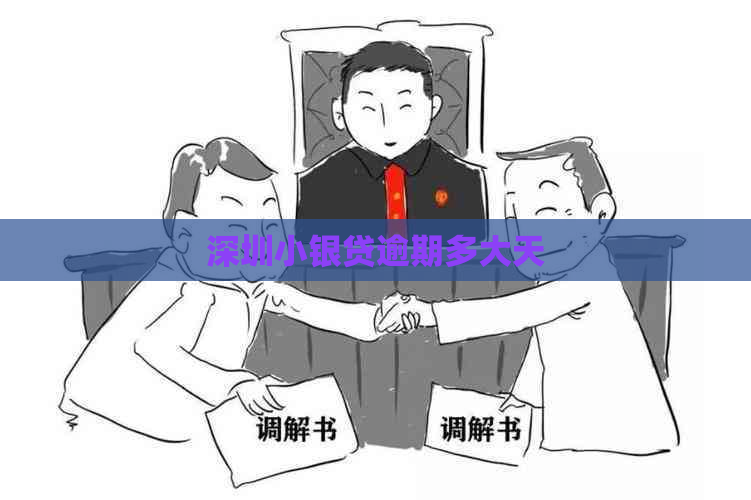 深圳小银贷逾期多大天