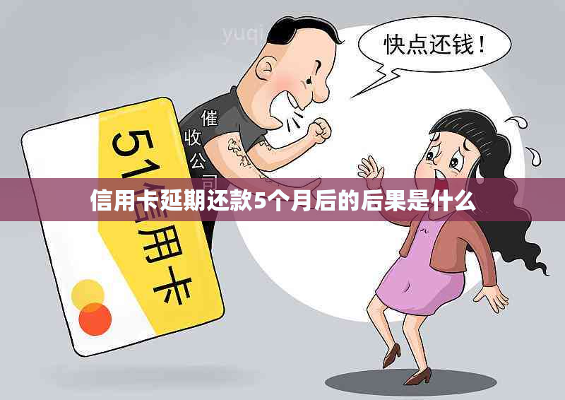 信用卡延期还款5个月后的后果是什么