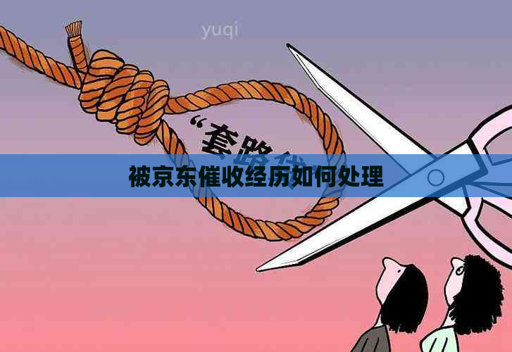 被京东经历如何处理