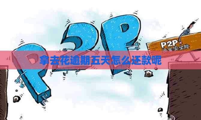拿去花逾期五天怎么还款呢