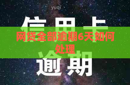 网贷全部逾期6天如何处理
