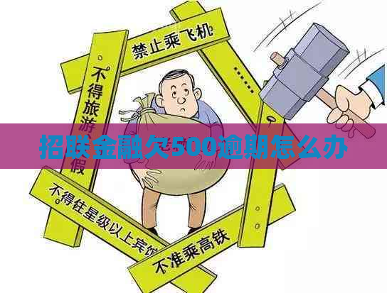招联金融欠500逾期怎么办