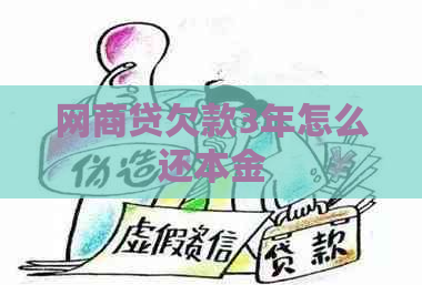网贷欠款3年怎么还本金