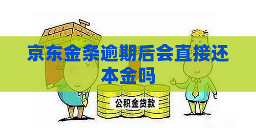 京东金条逾期后会直接还本金吗