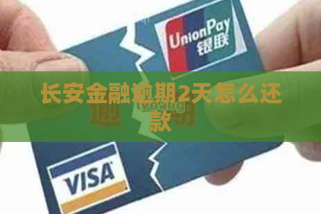 长安金融逾期2天怎么还款
