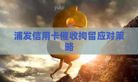 浦发信用卡拘留应对策略