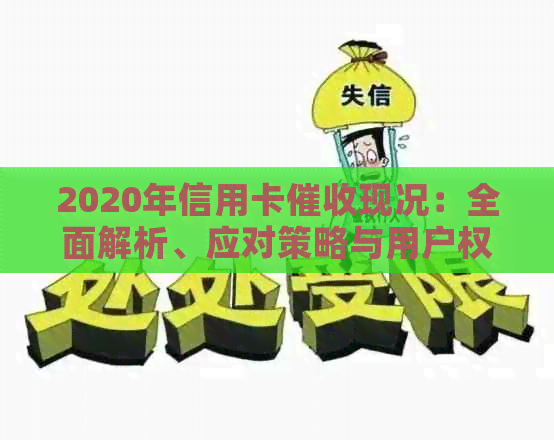 2020年信用卡现况：全面解析、应对策略与用户权益保障