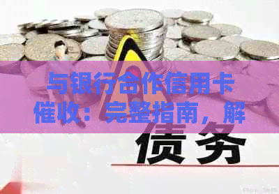 与银行合作信用卡：完整指南，解答您的所有疑问