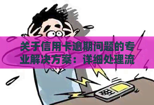 关于信用卡逾期问题的专业解决方案：详细处理流程