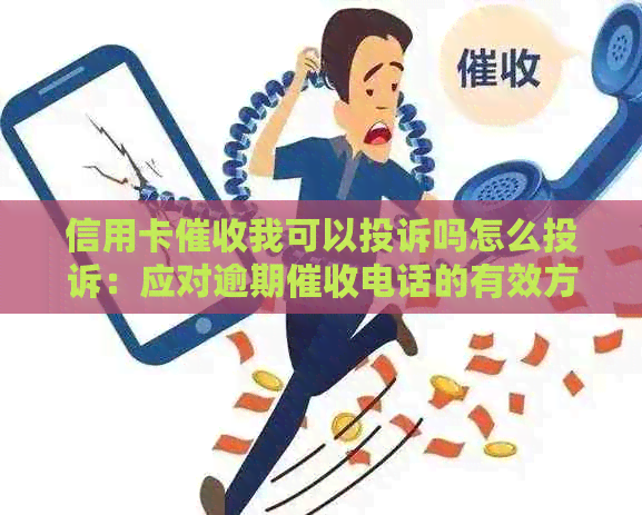 信用卡我可以投诉吗怎么投诉：应对逾期电话的有效方法