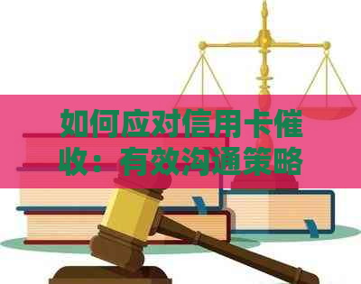 如何应对信用卡：有效沟通策略与实用建议，避免恶言相向