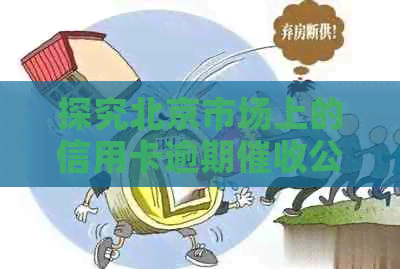 探究北京市场上的信用卡逾期公司：哪家更专业？